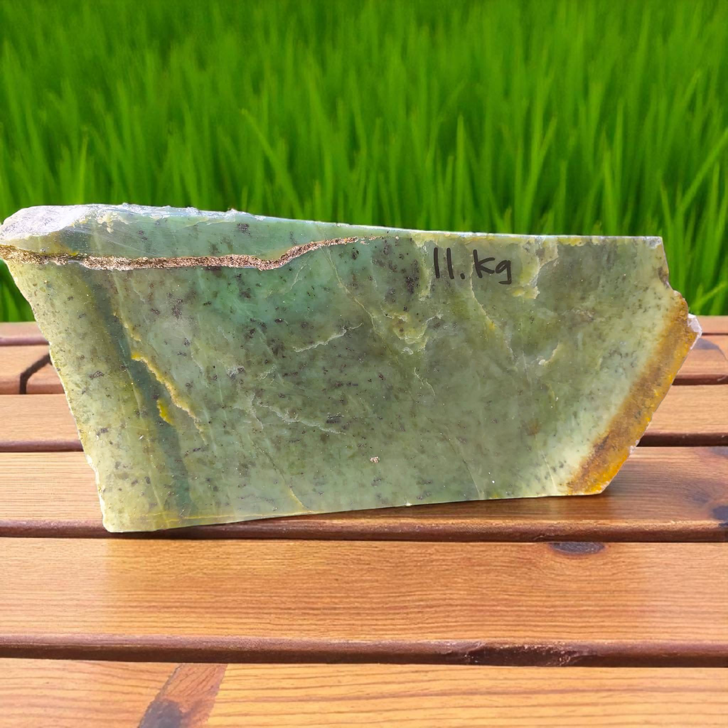 Natural Rough Green Nephrite Jade 24.2 lb