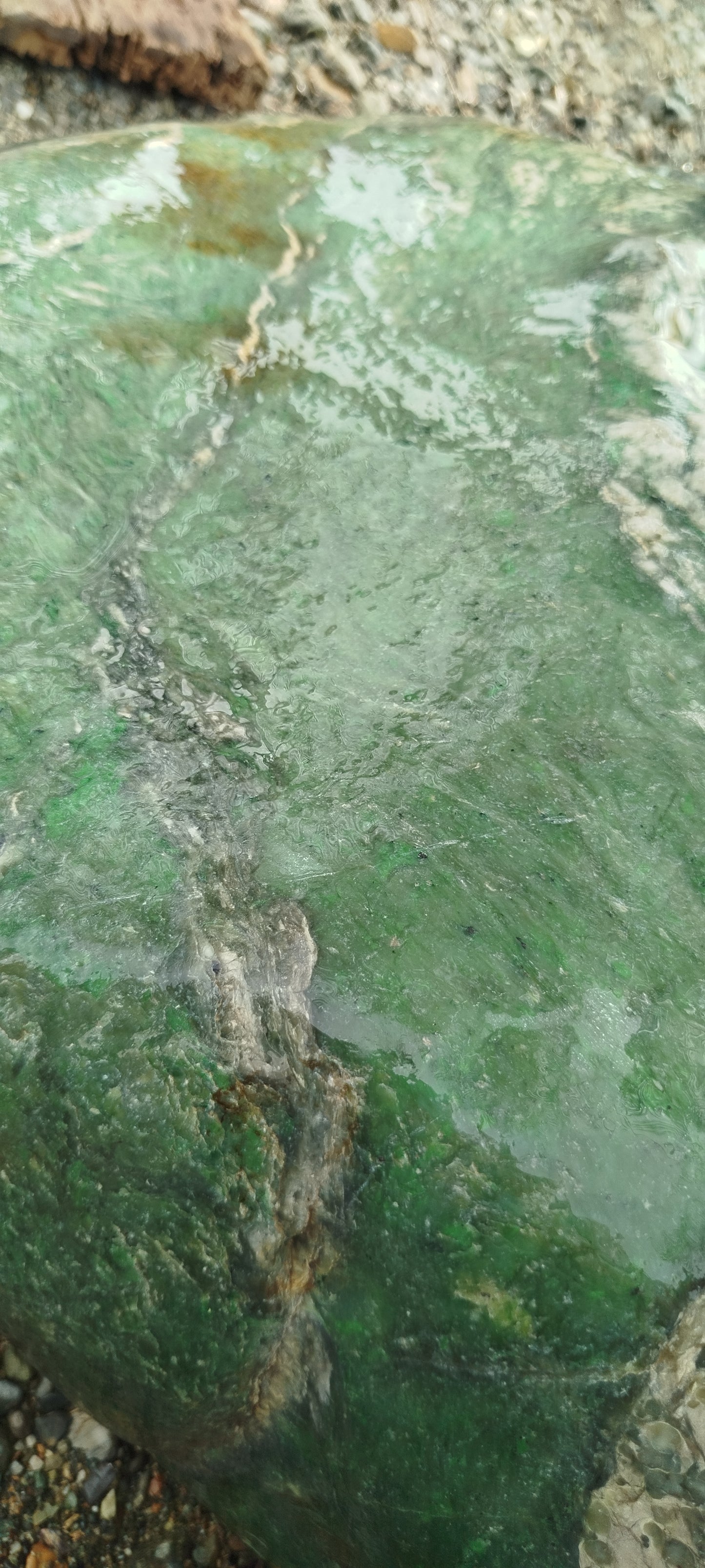 Nice Natural Uncut Rough Green Nephrite Jade 240 Kg