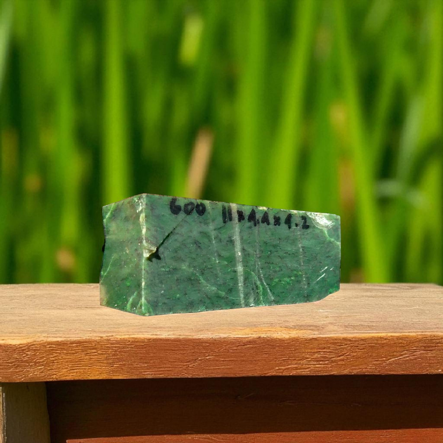 Natural Rough Green Nephrite Jade Block 1.32 lb