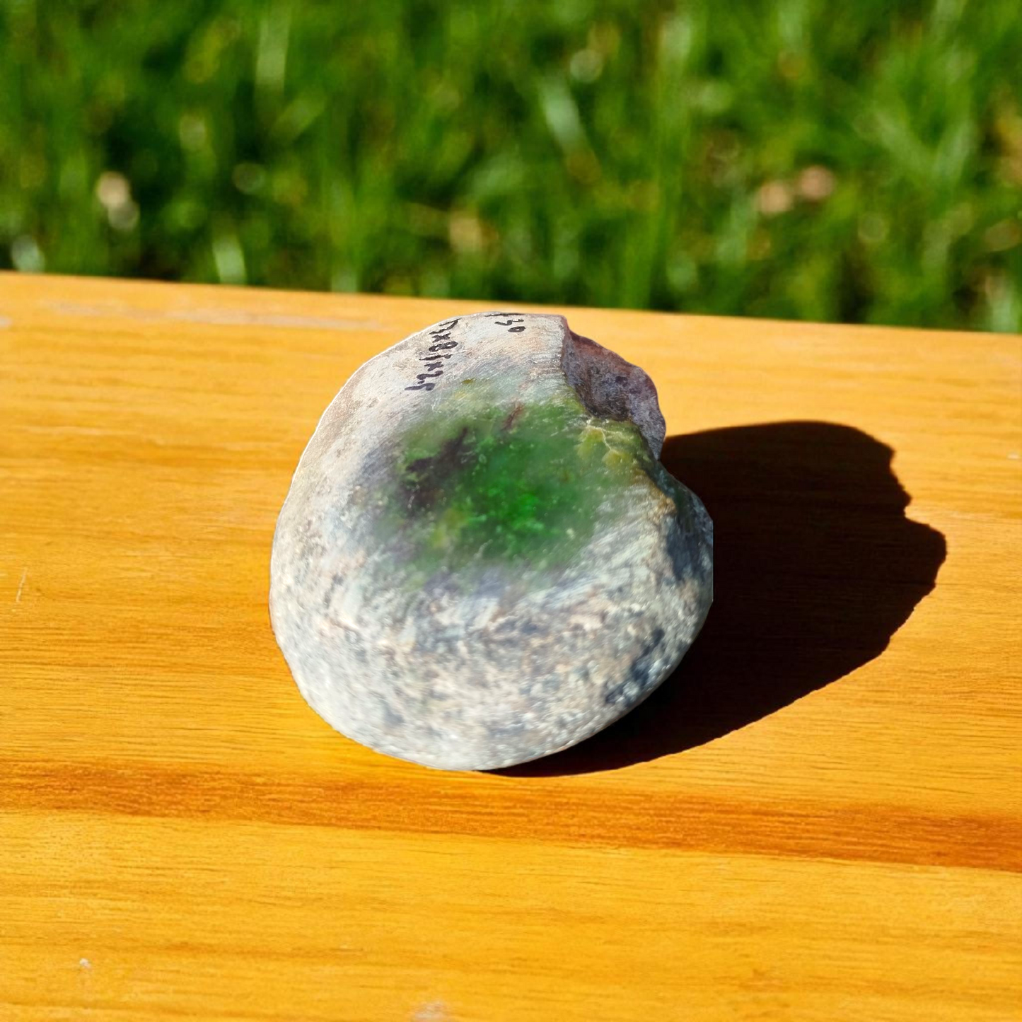 Natural Rough Green Nephrite Jade 1.6 lb